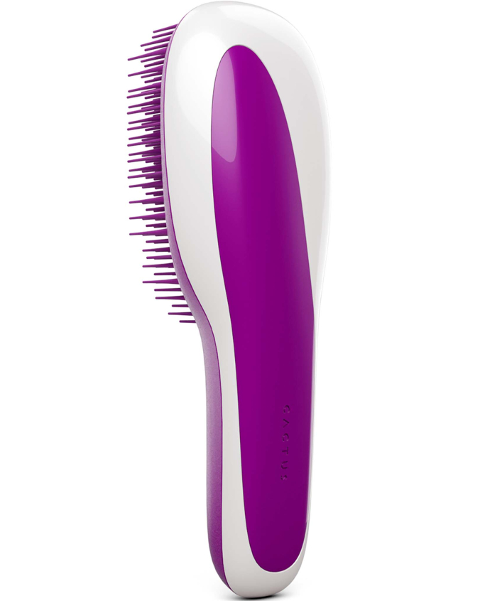 Bleo Royal Purple