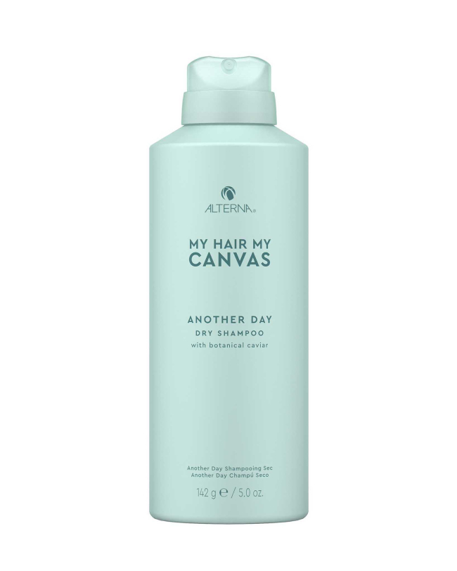 Alterna My Hair My Canvas Another Day Dry Shampoo 142g - Look Perfect